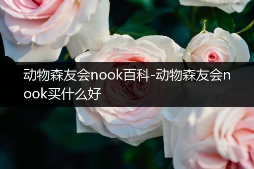 动物森友会nook百科-动物森友会nook买什么好