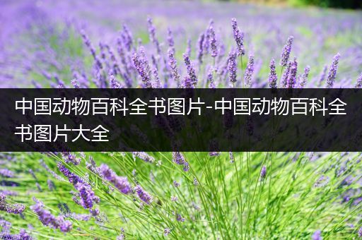 中国动物百科全书图片-中国动物百科全书图片大全