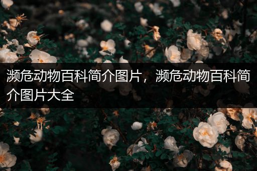 濒危动物百科简介图片，濒危动物百科简介图片大全