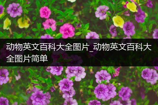 动物英文百科大全图片_动物英文百科大全图片简单