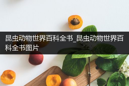 昆虫动物世界百科全书_昆虫动物世界百科全书图片