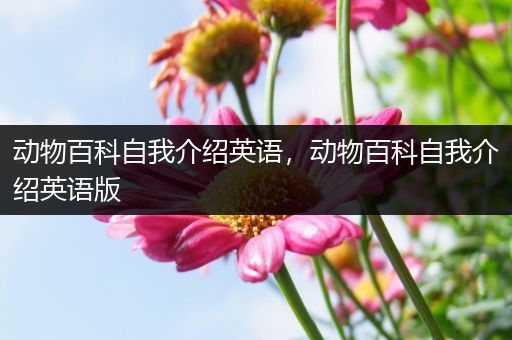 动物百科自我介绍英语，动物百科自我介绍英语版