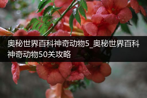 奥秘世界百科神奇动物5_奥秘世界百科神奇动物50关攻略