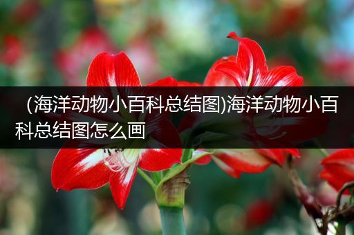 （海洋动物小百科总结图)海洋动物小百科总结图怎么画