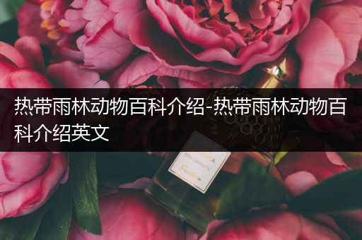 热带雨林动物百科介绍-热带雨林动物百科介绍英文
