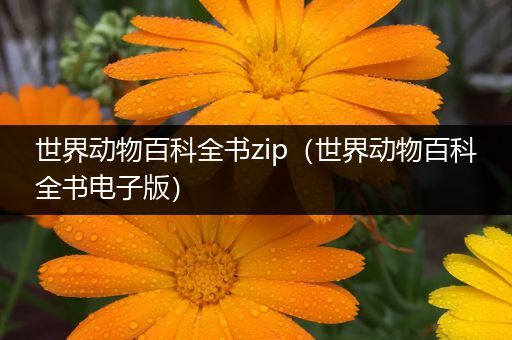 世界动物百科全书zip（世界动物百科全书电子版）