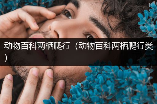 动物百科两栖爬行（动物百科两栖爬行类）