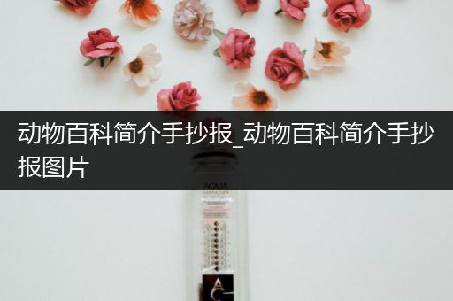 动物百科简介手抄报_动物百科简介手抄报图片