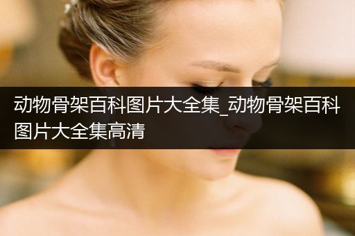 动物骨架百科图片大全集_动物骨架百科图片大全集高清