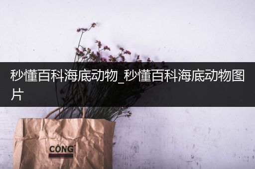 秒懂百科海底动物_秒懂百科海底动物图片