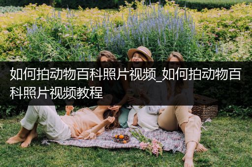如何拍动物百科照片视频_如何拍动物百科照片视频教程
