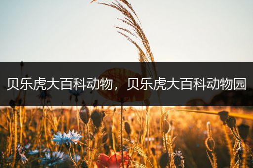 贝乐虎大百科动物，贝乐虎大百科动物园