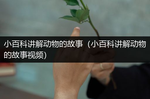 小百科讲解动物的故事（小百科讲解动物的故事视频）