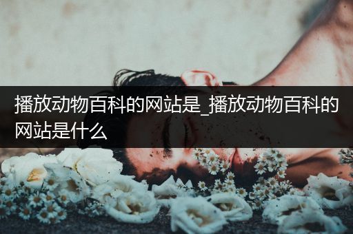 播放动物百科的网站是_播放动物百科的网站是什么