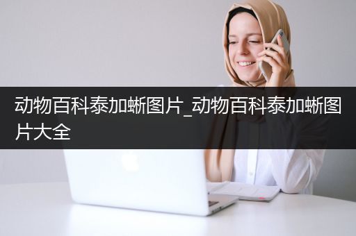 动物百科泰加蜥图片_动物百科泰加蜥图片大全