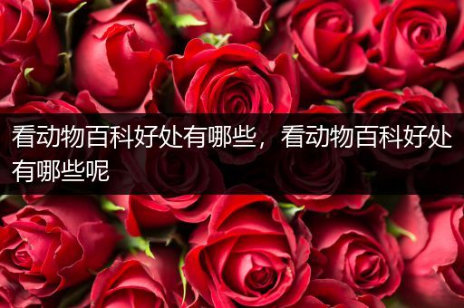 看动物百科好处有哪些，看动物百科好处有哪些呢
