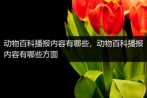 动物百科播报内容有哪些，动物百科播报内容有哪些方面