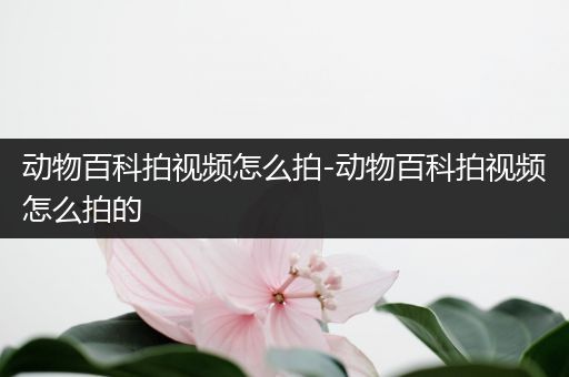 动物百科拍视频怎么拍-动物百科拍视频怎么拍的