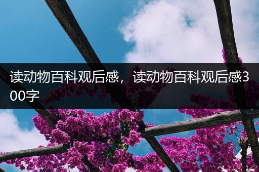 读动物百科观后感，读动物百科观后感300字