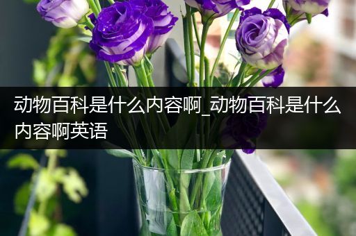 动物百科是什么内容啊_动物百科是什么内容啊英语