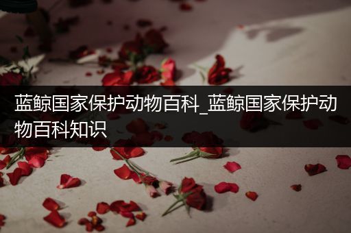 蓝鲸国家保护动物百科_蓝鲸国家保护动物百科知识