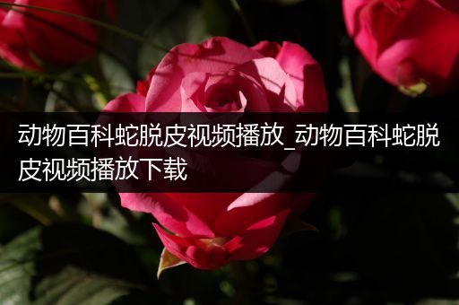 动物百科蛇脱皮视频播放_动物百科蛇脱皮视频播放下载