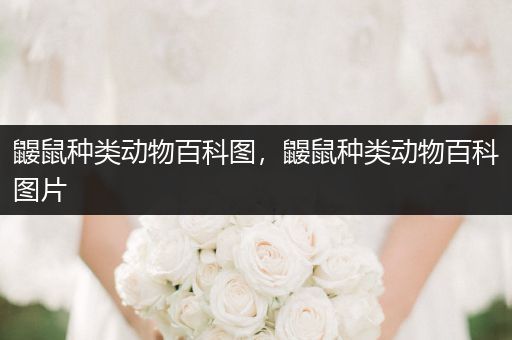 鼹鼠种类动物百科图，鼹鼠种类动物百科图片