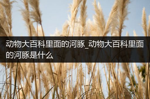 动物大百科里面的河豚_动物大百科里面的河豚是什么