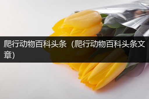 爬行动物百科头条（爬行动物百科头条文章）