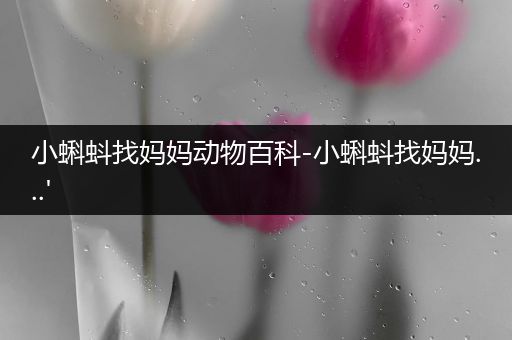 小蝌蚪找妈妈动物百科-小蝌蚪找妈妈...'