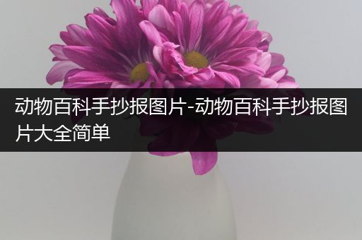 动物百科手抄报图片-动物百科手抄报图片大全简单