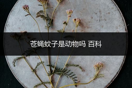 苍蝇蚊子是动物吗 百科