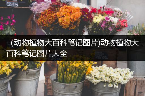 （动物植物大百科笔记图片)动物植物大百科笔记图片大全