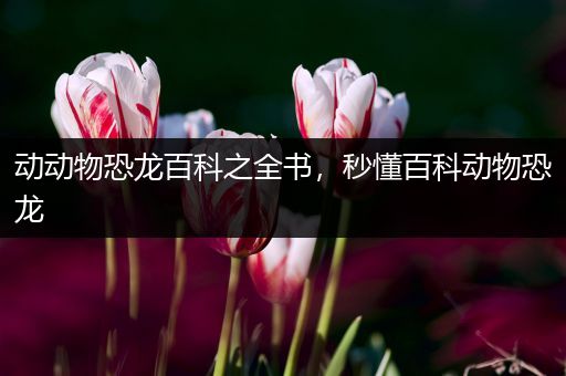 动动物恐龙百科之全书，秒懂百科动物恐龙