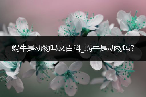 蜗牛是动物吗文百科_蜗牛是动物吗?