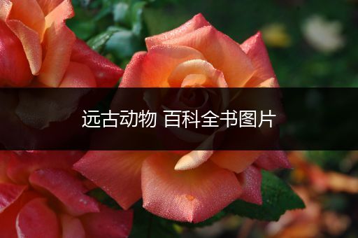 远古动物 百科全书图片