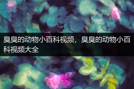 臭臭的动物小百科视频，臭臭的动物小百科视频大全