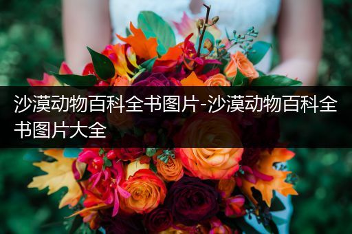 沙漠动物百科全书图片-沙漠动物百科全书图片大全