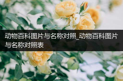 动物百科图片与名称对照_动物百科图片与名称对照表