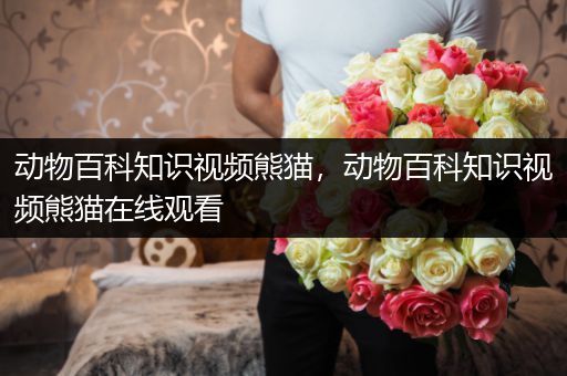 动物百科知识视频熊猫，动物百科知识视频熊猫在线观看