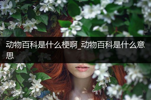 动物百科是什么梗啊_动物百科是什么意思