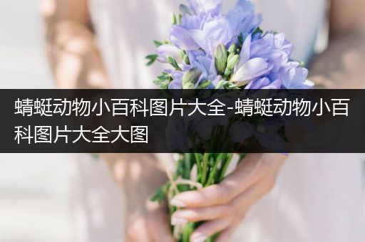 蜻蜓动物小百科图片大全-蜻蜓动物小百科图片大全大图