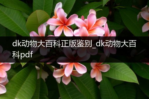 dk动物大百科正版鉴别_dk动物大百科pdf