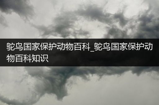 鸵鸟国家保护动物百科_鸵鸟国家保护动物百科知识