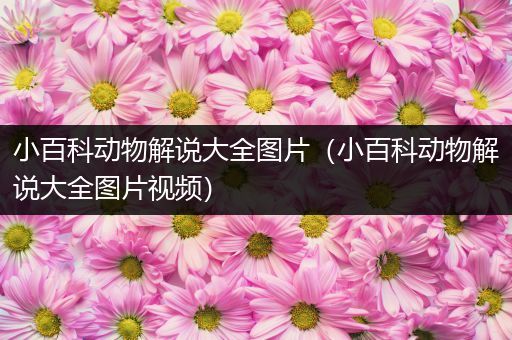 小百科动物解说大全图片（小百科动物解说大全图片视频）