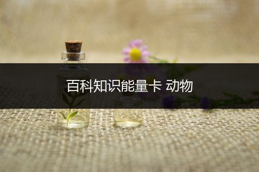 百科知识能量卡 动物