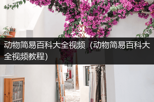 动物简易百科大全视频（动物简易百科大全视频教程）