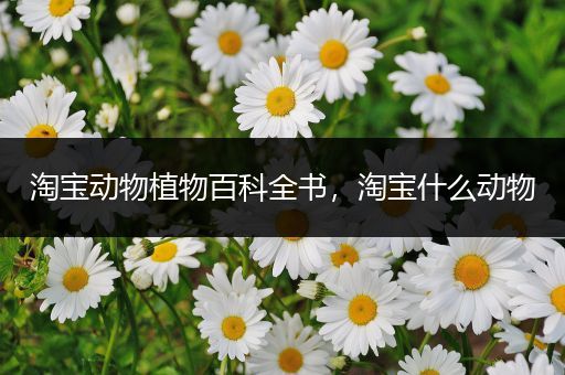 淘宝动物植物百科全书，淘宝什么动物