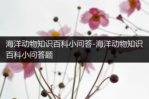 海洋动物知识百科小问答-海洋动物知识百科小问答题