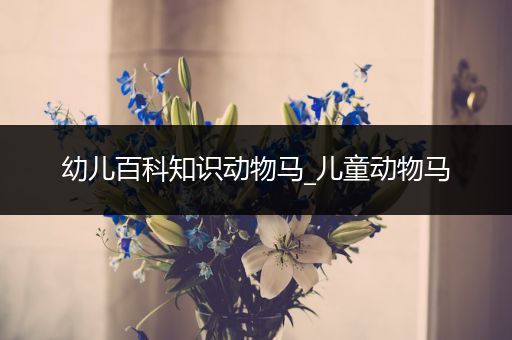 幼儿百科知识动物马_儿童动物马